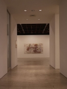 Helmut Dorner Sean Kelly Gallery
