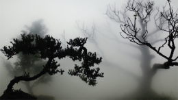 WU CHI-TSUNG, Landscape In The Mist 001, 2012