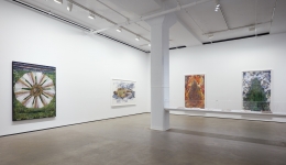 Installation view of&nbsp;Shahzia Sikander:&nbsp;Weeping Willows, Liquid Tongues&nbsp;at Sean Kelly, New York, November 5 &ndash; December 19, 2020&nbsp;