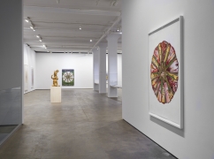 Installation view of&nbsp;Shahzia Sikander:&nbsp;Weeping Willows, Liquid Tongues&nbsp;at Sean Kelly, New York, November 5 &ndash; December 19, 2020&nbsp;