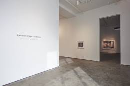 Installation view of Candida H&ouml;fer - In Mexico at Sean Kelly, New York