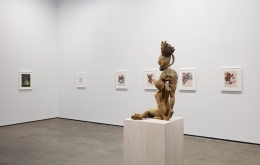Installation view of Shahzia Sikander: Weeping Willows, Liquid Tongues at Sean Kelly, New York