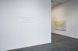 Installation view of Hugo McCloud: Burdened at Sean Kelly, New York