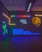 'Agnosia, an Illuminated Ontology' Sean Kelly Gallery