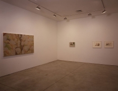 Helmut Dorner Sean Kelly Gallery