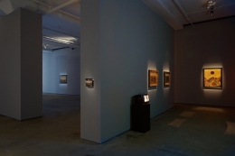 Laurent Grasso Sean Kelly Gallery